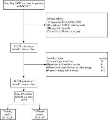 Development and validation of a nomogram for predicting survival time and making treatment decisions for clinical stage IA NSCLC based on the SEER database